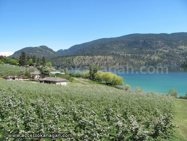 Kalamalka Lake in Oyama